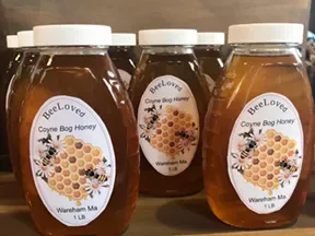 Jars of local BeeLoved Coyne Bog honey from Wareham, Massachusetts